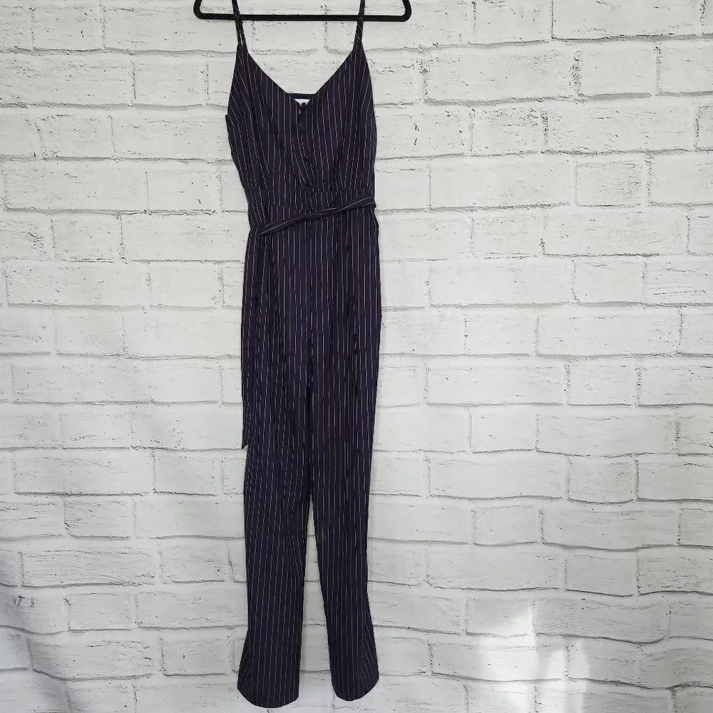 Cupcakes & Cashmere Bonita Pinstripe Front Tie Waist Jumpsuit Blue Tan Small